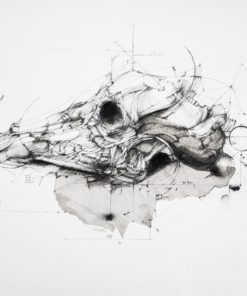 Untitled 9