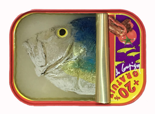 Ortaire de Coupigny - Sardines