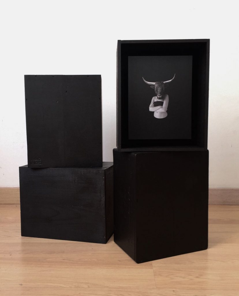 Artevistas gallery