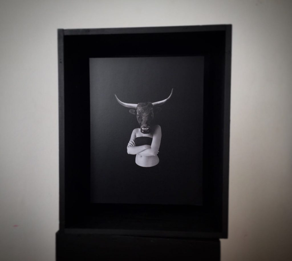 Artevistas gallery
