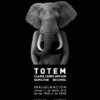 Totem - Hamilton Becerra & Claire James Dupain – contemporary artwork, Artevistas art gallery Barcelona
