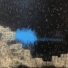 Entre el azul y el rojo una ilusion – contemporary artwork, Artevistas art gallery Barcelona