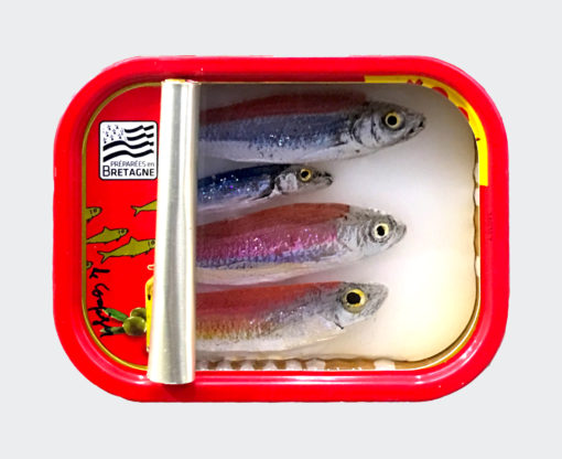 Ortaire de Coupigny - Sardines