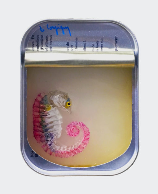 Ortaire de Coupigny - Sardines