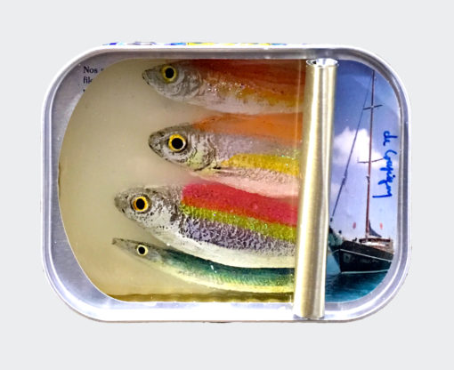 Ortaire de Coupigny - Sardines