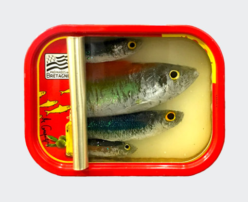 Ortaire de Coupigny - Sardines