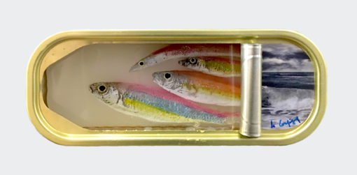 Ortaire de Coupigny - Sardines