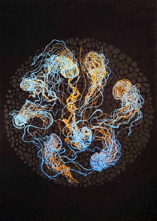 Typon noir - Goorden Yannick