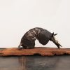 Armadillo – contemporary artwork, Artevistas art gallery Barcelona