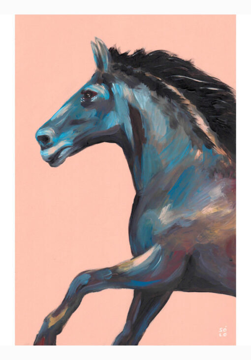 Bran Sólo - Half Horse (with its half rider) - Image 3