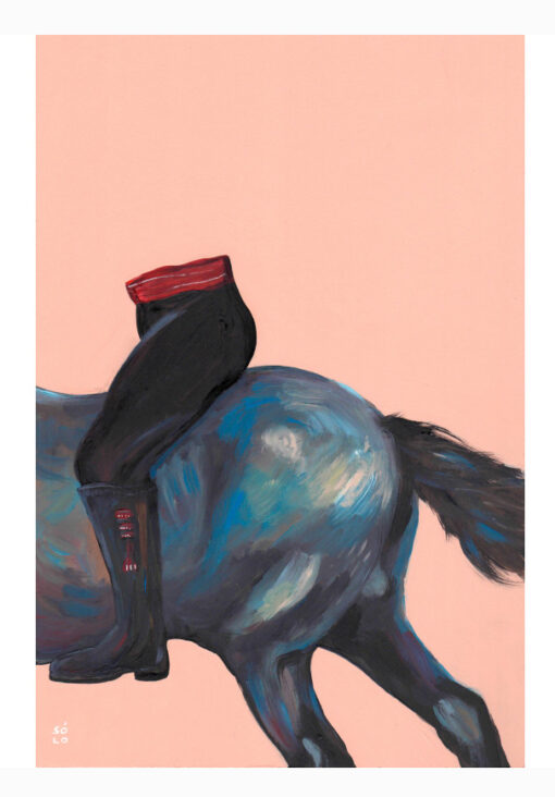 Bran Sólo - Half Horse (with its half rider) - Image 2