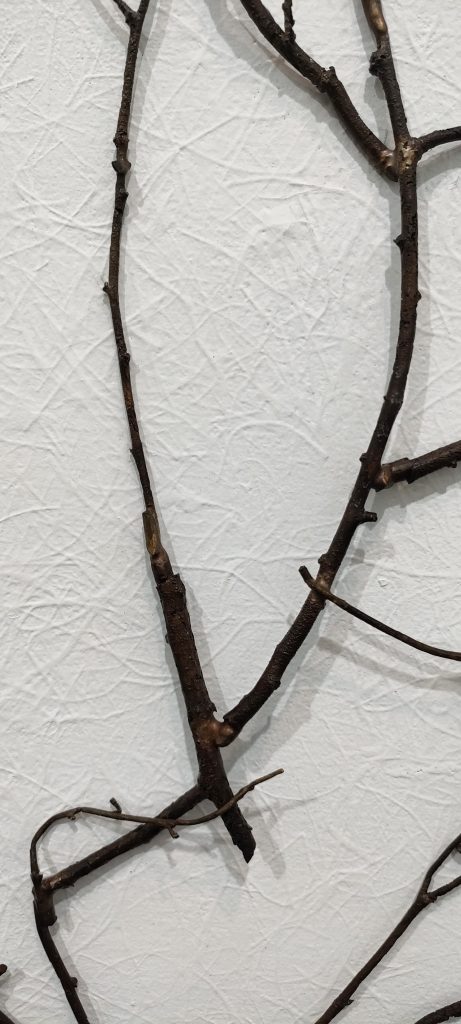 Artevistas gallery