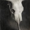 Mireia cifuentes estudio craneo – contemporary artwork, Artevistas art gallery Barcelona