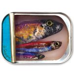 «Sardine S50» by Ortaire de Coupigny – acrylic, paraffin and resin in a can, contemporary art at Artevistas Barcelona