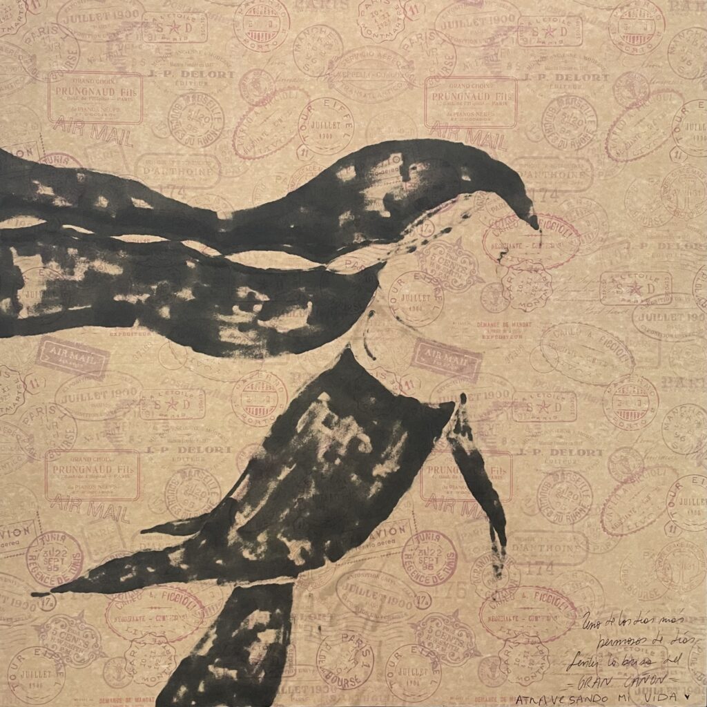 Artevistas gallery