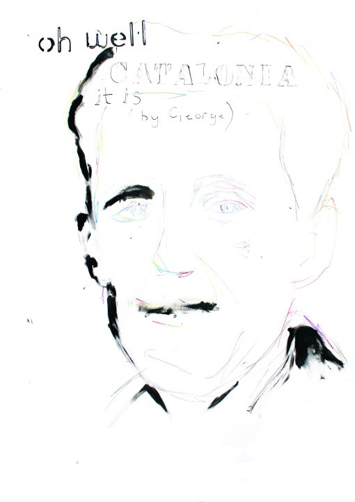 Peter Doherty art print