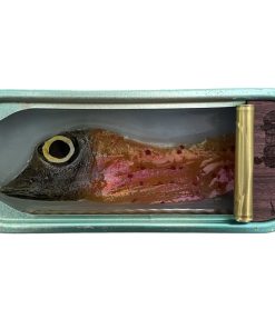 #OrtairedeCoupigny