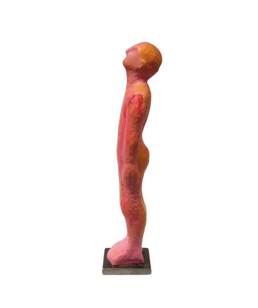 Ramón Pons - Individuo fuxia - Image 2