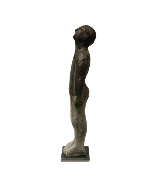 Ramón Pons - Individuo gris gradual - Image 2