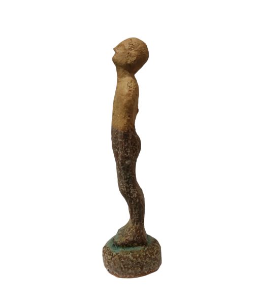 Ramón Pons - Individuo tierra y marrón - Image 2